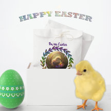 Easter Chick In An Egg Basket Personalised