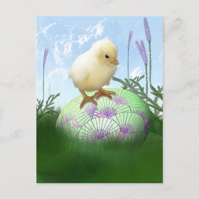 Easter Chick Postcard (Front)