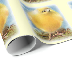 Easter chick wrapping paper