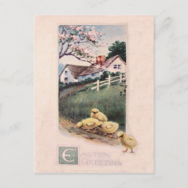 Easter Chick Yard Dogwood Tree Holiday Postcard (Front)