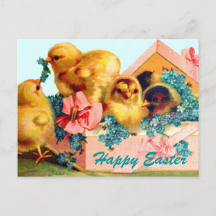 Easter Chicks Holiday Postcard