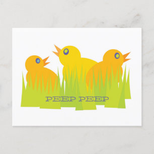 Easter Chicks Postcard