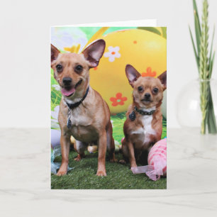 Easter - Chipin Rockwell - Chihuahua Rambo Holiday Card