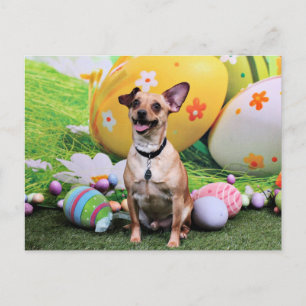 Easter - Chipin Rockwell - Chihuahua Rambo Holiday Postcard