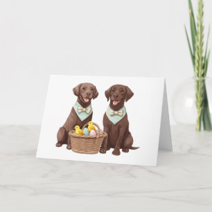 Easter Chocolate Labrador Retriever Dogs Card