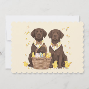 Easter Chocolate Labrador Retriever Dogs Holiday Card
