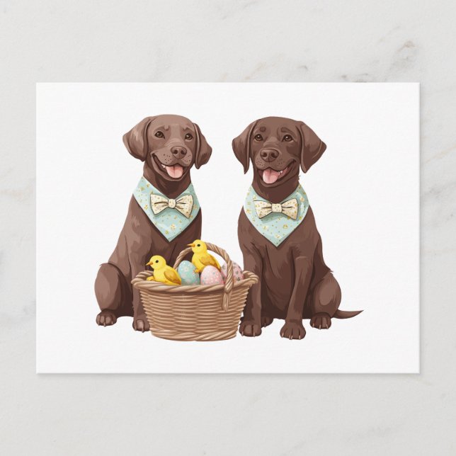 Easter Chocolate Labrador Retriever Dogs Postcard (Front)