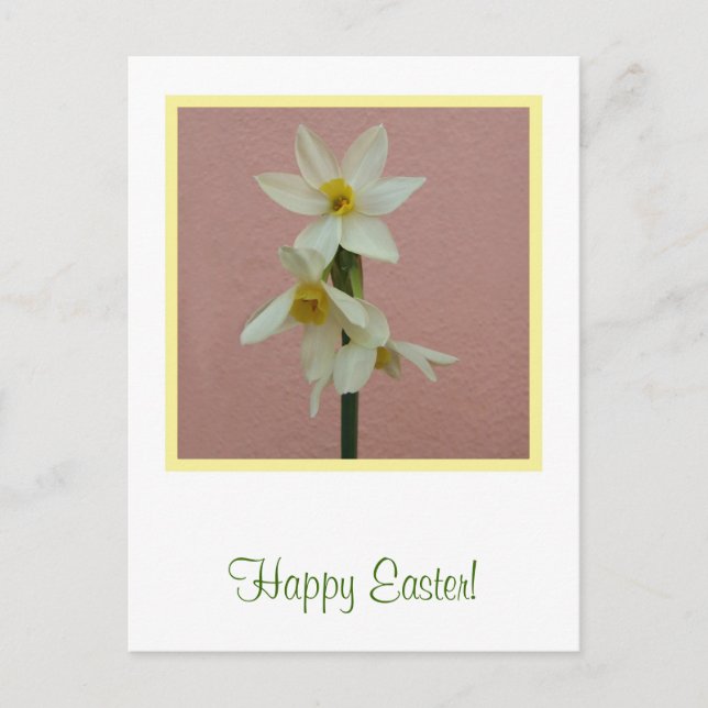 Easter Daffodil Postcard (Front)