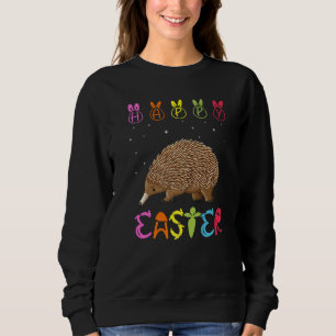 Easter Day Echidna Matching Family Cute Easter Cos Sweatshirt