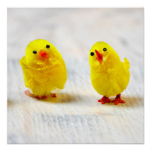 Easter Decoration - chicks in a row