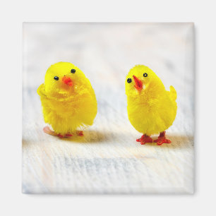 Easter Decoration - chicks in a row Magnet