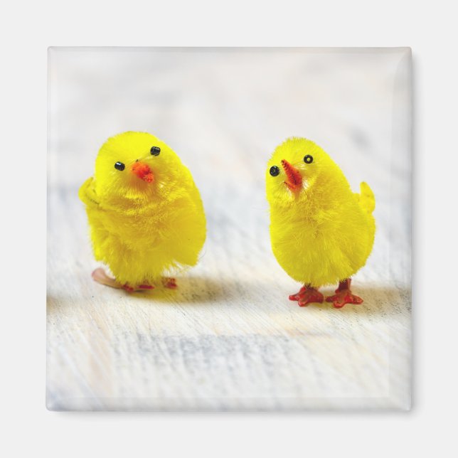 Easter Decoration - chicks in a row Magnet (Front)