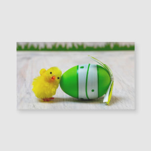 Easter Decoration - Easter egg and chick