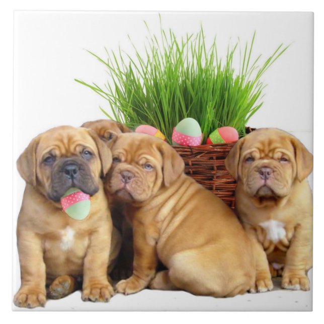 Easter Dogue de Bordeaux pups Ceramic Tile (Front)