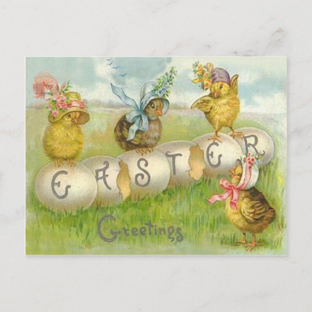 Easter Egg Chick Field Holiday Postcard (Front)