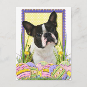 Easter Egg Cookies - Boston Terrier Holiday Postcard