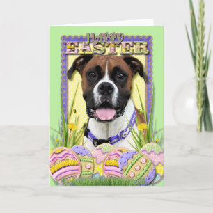 Easter Egg Cookies - Boxer Holiday Card