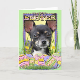 Easter Egg Cookies - Chihuahua Holiday Card