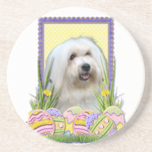 Easter Egg Cookies - Coton de Tulear Coaster