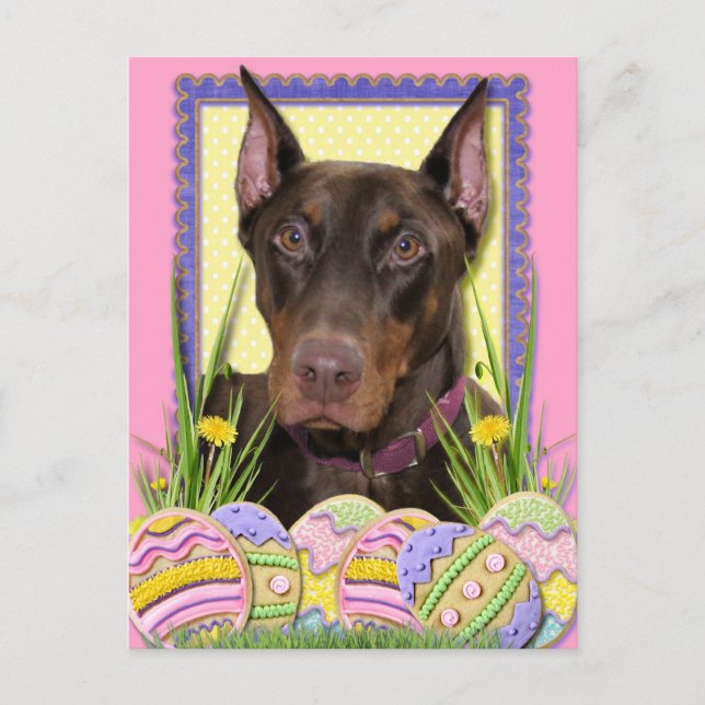 Easter Egg Cookies - Doberman Holiday Postcard (Front)