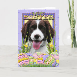 Easter Egg Cookies - English Springer Spaniel Holiday Card