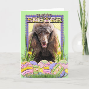 Easter Egg Cookies - Poodle - Chocolate Holiday Card