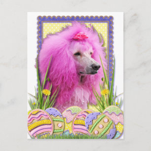 Easter Egg Cookies - Poodle - Pink Holiday Postcard