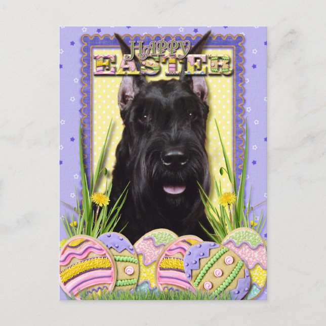 Easter Egg Cookies - Schnauzer Holiday Postcard (Front)