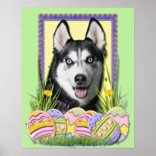 Easter Egg Cookies - Siberian Husky Poster