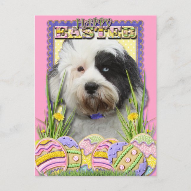 Easter Egg Cookies - Tibetan Terrier Holiday Postcard (Front)