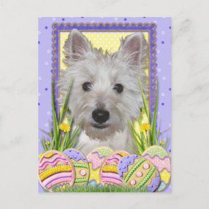 Easter Egg Cookies - West Highland Terrier - Tank Holiday Postcard