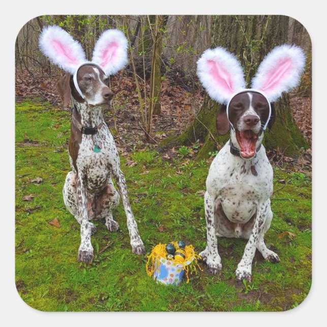 Easter Egg Hunt and Party Dogs Round Stickers (Front)