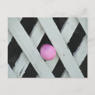 Easter Egg Hunt Holiday Postcard