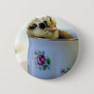 Easter Egger Chick in Cup 6 Cm Round Badge