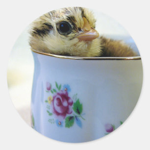 Easter Egger Chick in Cup Classic Round Sticker