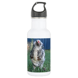 Easter Egger Rooster 532 Ml Water Bottle