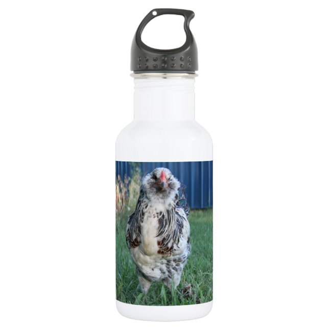 Easter Egger Rooster 532 Ml Water Bottle (Front)