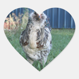 Easter Egger Rooster Heart Sticker