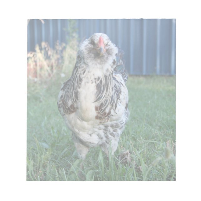 Easter Egger Rooster Notepad (Front)