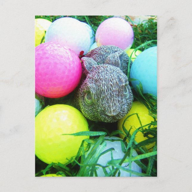 Easter Eggs, Rabbit , Golf Balls Holiday Postcard (Front)