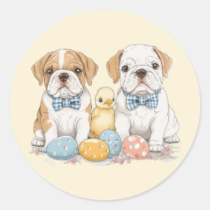 Easter English Bulldogs Classic Round Sticker