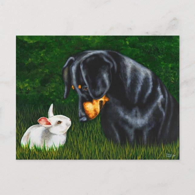 Easter Eye to Eye - Dachshund Dog and Bunny Rabbit Holiday Postcard (Front)