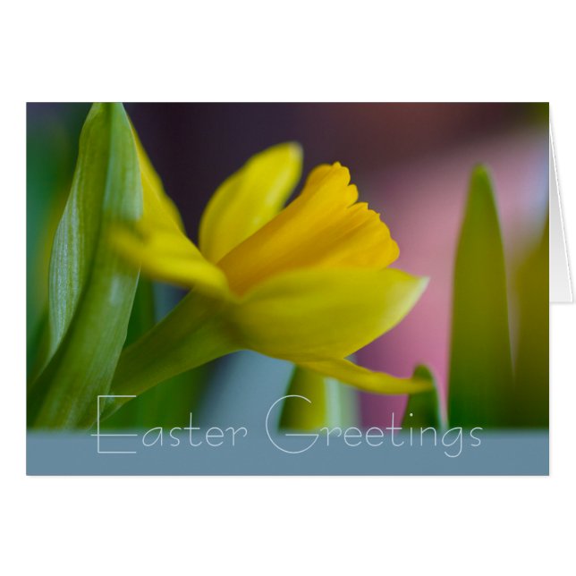 Easter flower Daffodil Narcissus CC1209 Card (Front Horizontal)