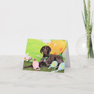 Easter - German Shorthair Pointer - Kaiser Holiday Card