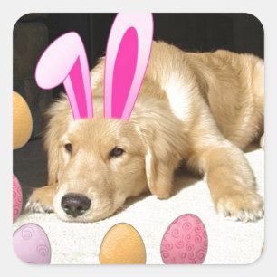 Easter Golden Retriever Puppy Square Sticker