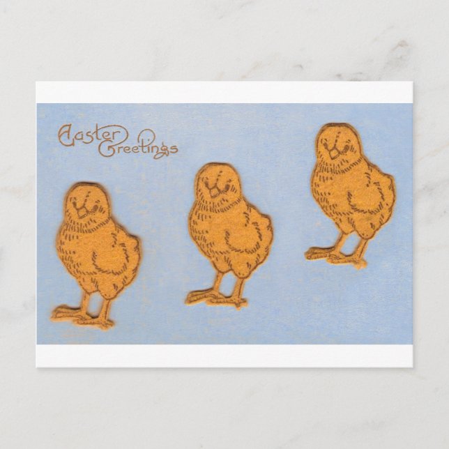Easter Greetings Chicks Blue Holiday Postcard (Front)