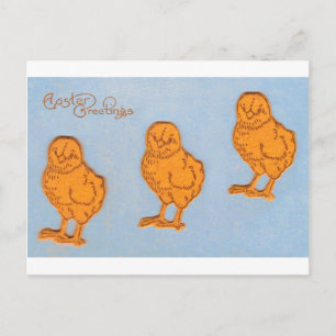 Easter Greetings Chicks in Blue Holiday Postcard