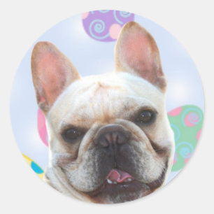 Easter Greetings French Bulldog Classic Round Sticker