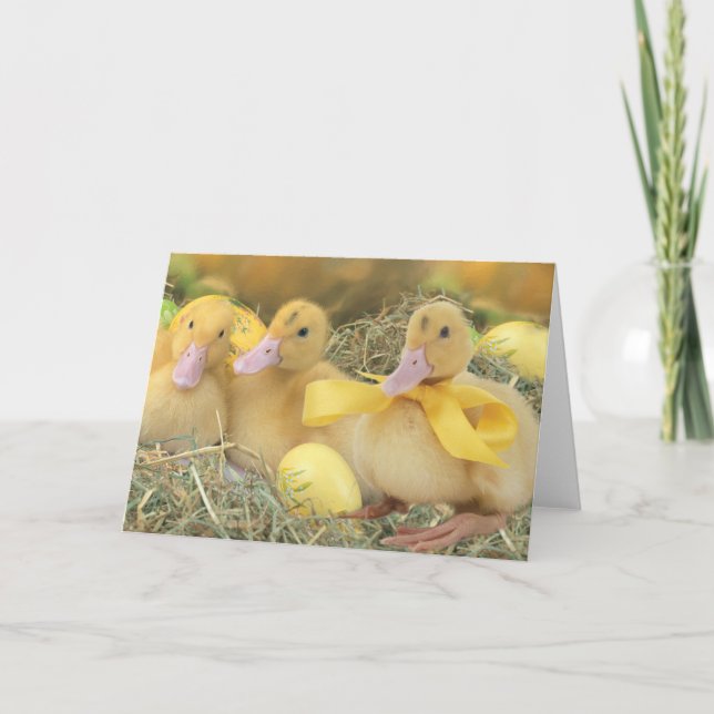 Easter Holiday Card (Front)