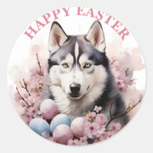 Easter Husky Chocolate Eggs and Flowers -  